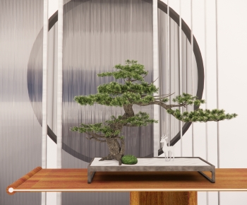 中式造型松树盆景-ID:525984059