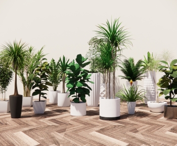 Modern Ground Green Plant Potted Plants-ID:760392907