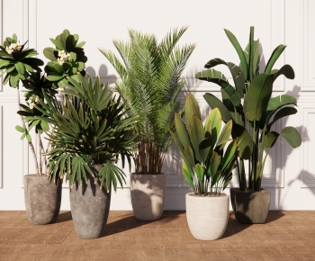 Modern Ground Green Plant Potted Plants-ID:309638982