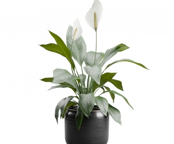 Modern Potted Green Plant-ID:561327932