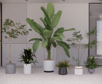 Modern Ground Green Plant Potted Plants-ID:319996126