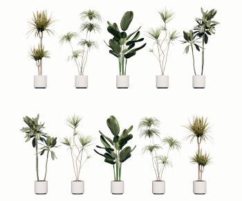 Modern Ground Green Plant Potted Plants-ID:235474117