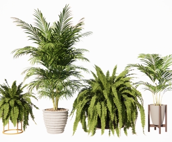 Modern Ground Green Plant Potted Plants-ID:317615039