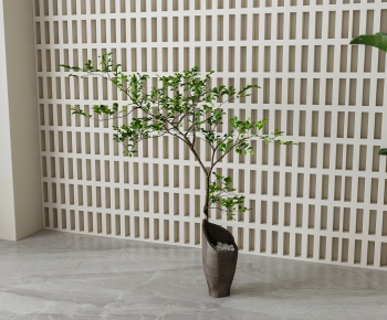 Modern Ground Green Plant Potted Plants-ID:469237095