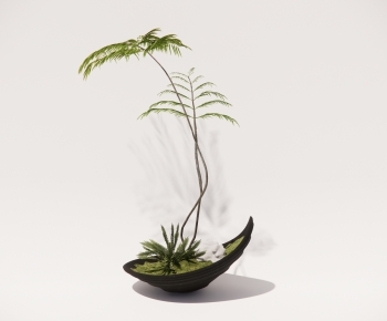 Modern Bonsai-ID:259696012