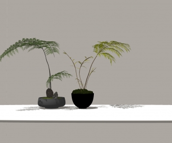 Modern Bonsai-ID:718921905