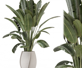 Modern Ground Green Plant Potted Plants-ID:378396035