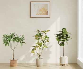 Modern Ground Green Plant Potted Plants-ID:175271031