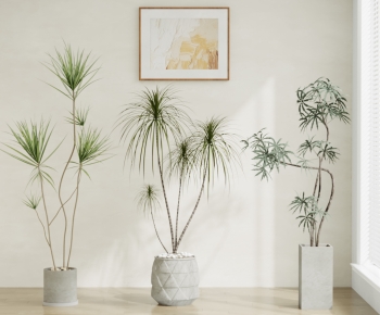 Modern Ground Green Plant Potted Plants-ID:220766071