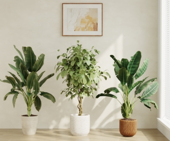 Modern Ground Green Plant Potted Plants-ID:409109682