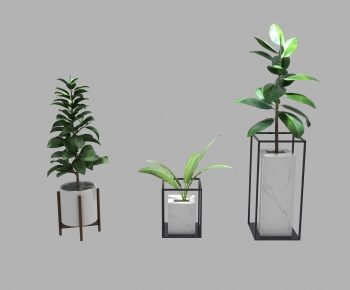 Modern Ground Green Plant Potted Plants-ID:691159018