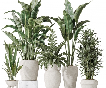 Modern Ground Green Plant Potted Plants-ID:813894035