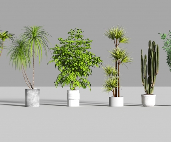 Modern Ground Green Plant Potted Plants-ID:184267046