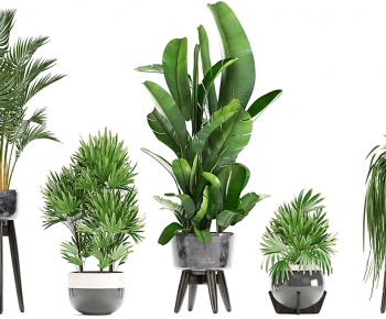 Modern Ground Green Plant Potted Plants-ID:189754012