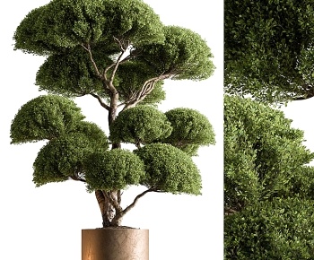 现代落地造型盆景盆栽3D模型
