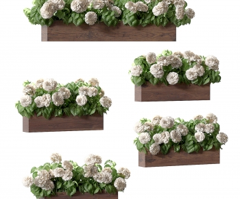 Modern Flower Bed, Flower Bowl, Flower Box-ID:190675022