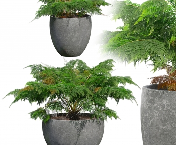 Modern Ground Green Plant Potted Plants-ID:245769097