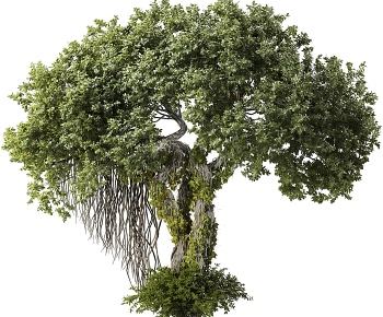 现代榕树3D模型