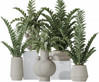 Modern Ground Green Plant Potted Plants-ID:983402975