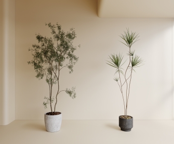 Modern Ground Green Plant Potted Plants-ID:244699002