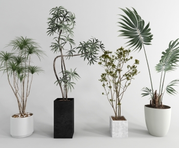 Modern Ground Green Plant Potted Plants-ID:948570016