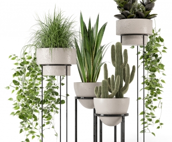Modern Potted Green Plant-ID:621375081
