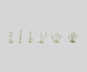 Modern Flowers And Grass-ID:193529113