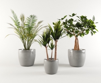 Modern Ground Green Plant Potted Plants-ID:567042118