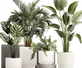 Modern Ground Green Plant Potted Plants-ID:522921092