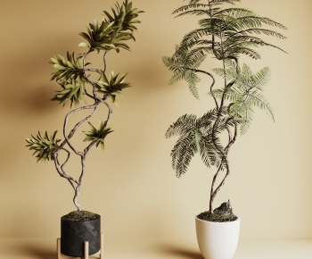 Wabi-sabi Style Ground Green Plant Potted Plants-ID:824592114