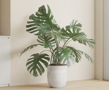 Modern Ground Green Plant Potted Plants-ID:523502118
