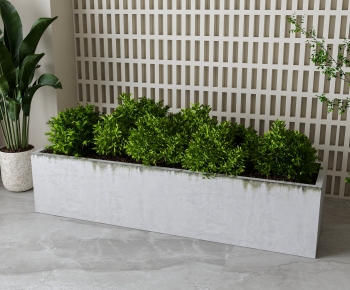 Modern Flower Bed, Flower Bowl, Flower Box-ID:507026917