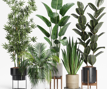 Modern Ground Green Plant Potted Plants-ID:581829078
