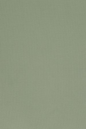绿色布纹-ID:5985561