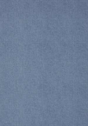 ModernFabric Linen