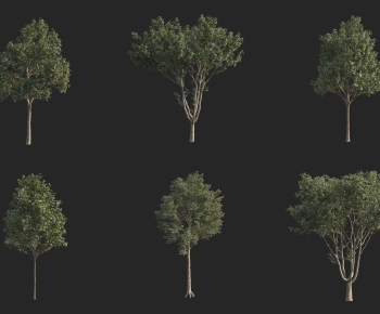 Modern Tree-ID:251230966