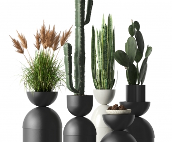 Modern Potted Green Plant-ID:755697011
