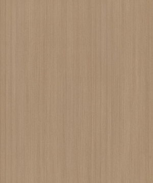 ModernWood Texture