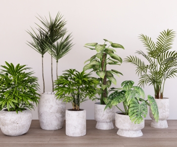 Modern Ground Green Plant Potted Plants-ID:841773997