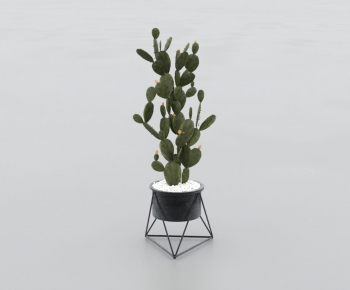 Modern Ground Green Plant Potted Plants-ID:187460901