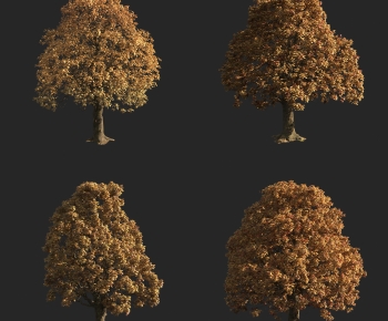 Modern Tree-ID:149938115