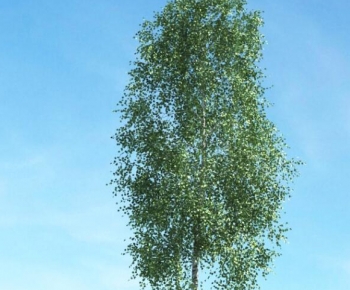 Modern Tree-ID:106596955