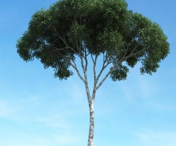 Modern Tree-ID:954351905