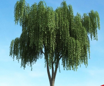 Modern Tree-ID:815910104