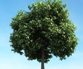 Modern Tree-ID:594501026