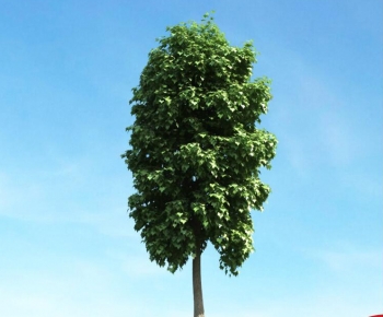 Modern Tree-ID:756804949