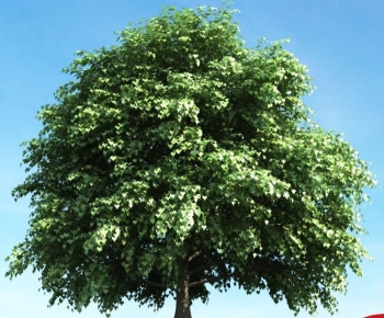 Modern Tree-ID:194439893