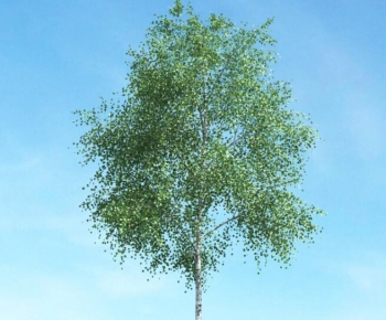 Modern Tree-ID:704237949