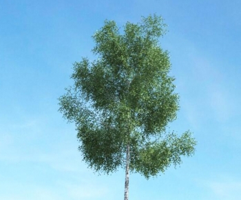 Modern Tree-ID:571073065