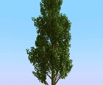 Modern Tree-ID:183676002